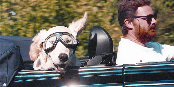 cabrio Cabrio © Zurich Gruppe Deutschland