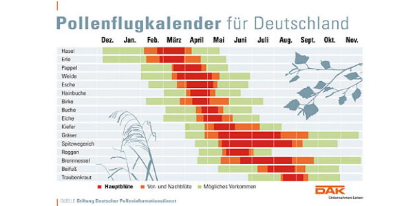 Pollenflugkalender für Deutschland-DAK